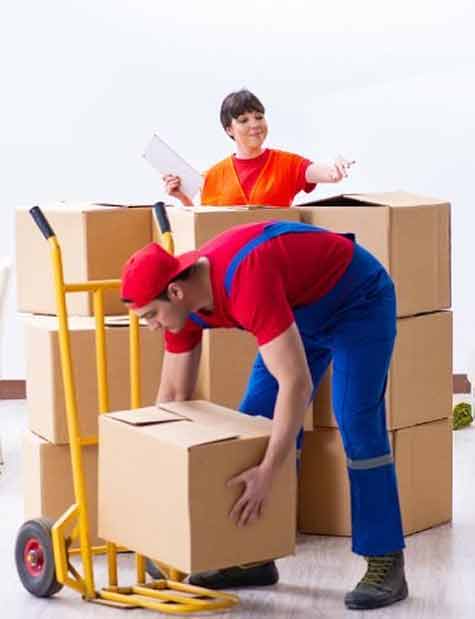 Most Suggested Perth To Darwin Removalists