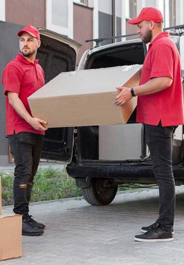 Professional Removalists