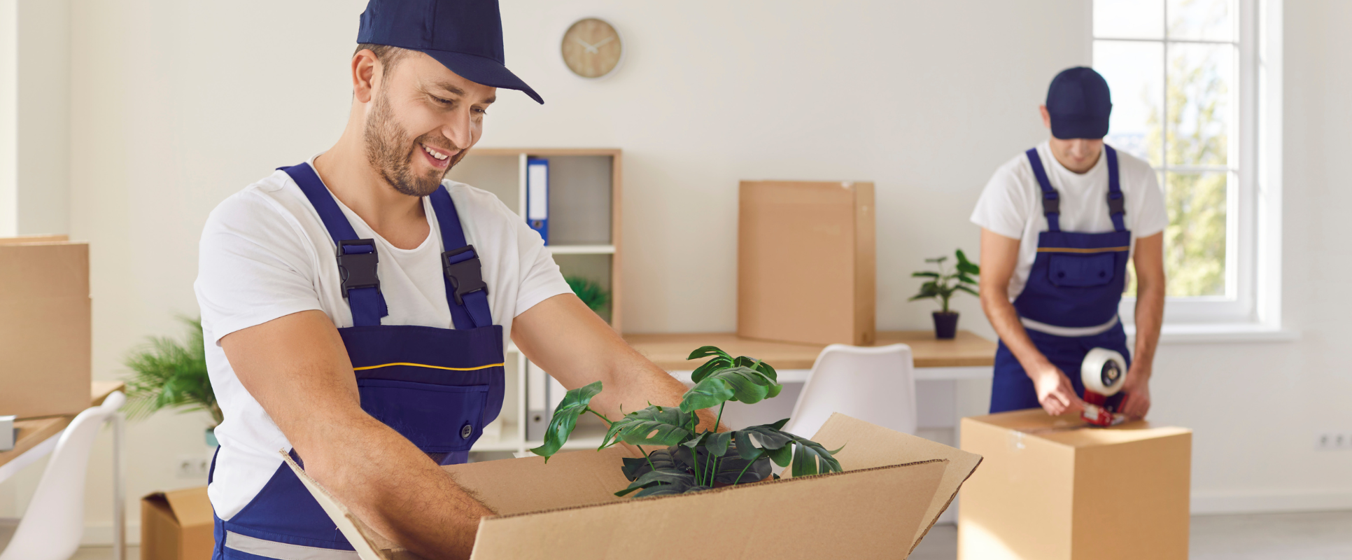 Removalist Company